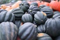Pile of black squash in a market