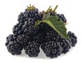 A pile of blackberry berries isolated on a white background close-up