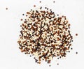 Pile of blend of quinoa grains close up on gray