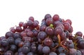 Pile of blue grapes Royalty Free Stock Photo