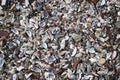 Pile of Blue Mussel shells Royalty Free Stock Photo