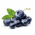 Photorealistic Blueberries On White Background Royalty Free Stock Photo