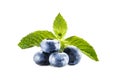 pile of blueberries with mint leaves Royalty Free Stock Photo