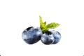 Pile of blueberries with mint leaves Royalty Free Stock Photo