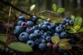 Pile blueberries in northern green forest. Generate ai Royalty Free Stock Photo