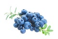 Pile of blueberry