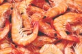 Pile of boiled shrimps details background close-up Royalty Free Stock Photo