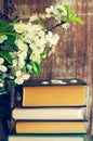 Pile of books and spring flowers of a lilac and apricot Royalty Free Stock Photo