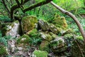 Pile of boulders in forest Royalty Free Stock Photo