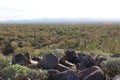 A pile of boulders on Signal Hill overlooking a vast expanse of desert in Saguaro National Park, Tucson, Arizona