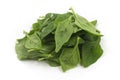 Pile of Brazilian Spinach. Spinacia oleracea Royalty Free Stock Photo