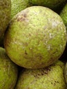 Pile of Breadfruits Royalty Free Stock Photo