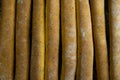 Pile of breadsticks or grissini looking down vertically