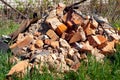 A pile of bricks from a demolished brick wall. A pile of broken bricks in the yard on the grass. pollution of nature by constructi