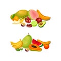 Pile of Bright and Juicy Tropical Fruit with Melon and Banana Vector Set