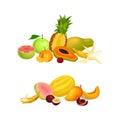 Pile of Bright and Juicy Tropical Fruit with Melon and Pineapple Vector Set