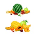 Pile of Bright and Juicy Tropical Fruit with Melon and Watermelon Vector Set