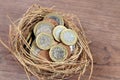 Pile of British pound coins in bird net, treasure or investment concept Royalty Free Stock Photo