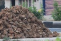 A pile of broken coconut shells lying by tge road. It us ysed as hard fuel as well for agriculture purpose.
