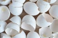 A pile of broken empty white eggshells top view