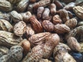 Pile of brown boiled peanuts