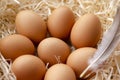 A pile of brown eggs in a nest. fresh chicken eggs with nest, Royalty Free Stock Photo