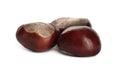 Pile of brown horse chestnuts isolated on white Royalty Free Stock Photo