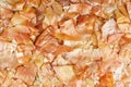 Pile of brown onionskin Royalty Free Stock Photo