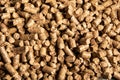Pile of brown pellets for cat litter background Royalty Free Stock Photo