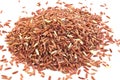 PILE OF BROWN RICE ISOLATED Royalty Free Stock Photo