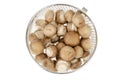 Pile of brown royal champignons on white background