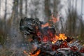 Pile of burning cardboard and waste paper Royalty Free Stock Photo