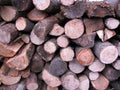 Pile of Burning Wood Royalty Free Stock Photo