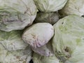 A pile of cabbage vegetables on display at a traditional market. Royalty Free Stock Photo