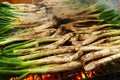 Calcots, catalan sweet onions