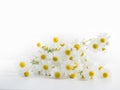 Pile of camomille on white background Royalty Free Stock Photo