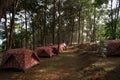 Pile of camping tents at the camp site Royalty Free Stock Photo