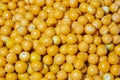 pile of cape gooseberry on the market