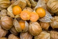 Pile of cape gooseberry on sale in the market. Physalis Fruits on a black basket background.