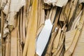 Pile of cardboard waste Royalty Free Stock Photo