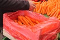 pile carrot displaying at local shop.