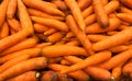 Pile of carrots