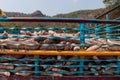 Pile cassava in the pickup truck, cassava for tapioca flour industry, raw yucca tuber in front view