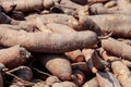 Pile cassava for tapioca flour industry, raw yucca tuber, cassava in top view for background