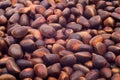 A pile of cedar nut Royalty Free Stock Photo