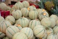 Pile of Charentais Melons in market Royalty Free Stock Photo