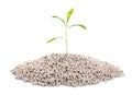 Pile of chemical fertilizer and green plant on white. Gardening time Royalty Free Stock Photo
