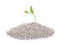 Pile of chemical fertilizer and green plant isolated on white. Royalty Free Stock Photo