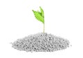 Pile of chemical fertilizer and green plant. Gardening time Royalty Free Stock Photo