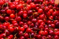 Pile of Cherries at the market Royalty Free Stock Photo